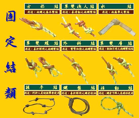 固定結類