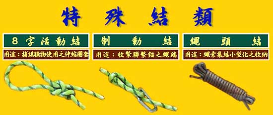 特殊結類